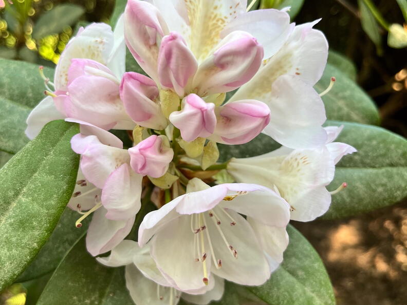 23-06-03 16-59-51 5809